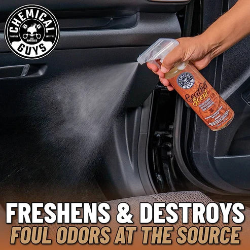 Chemical Guys Leather Scent Air Freshener And Odor Eliminator (16 Fl. Oz.)