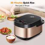 Leacco Rc100 Rice Cooker Non-stick Multifunctional 5L with Non-Stick Span