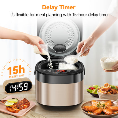 Leacco Rc100 Rice Cooker Non-stick Multifunctional 5L with Non-Stick Span